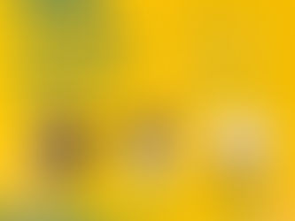 WEBINAR GEOSININDO 2: APLIKASI GEOSINTETIK UNTUK LINGKUNGAN & DINDING MODULAR SEBAGAI PERKUATAN