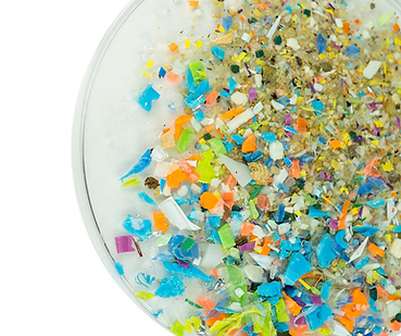 WhyMicroplastics.png