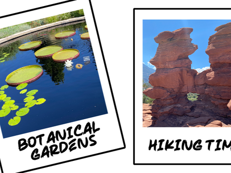 Road Trip!: A Real-Life Review of Where I've Been