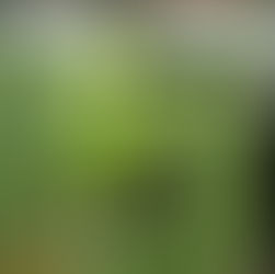 Envigado irá al Atanasio Girardot en busca de la victoria