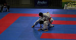 El Karate dice presente en Envigado