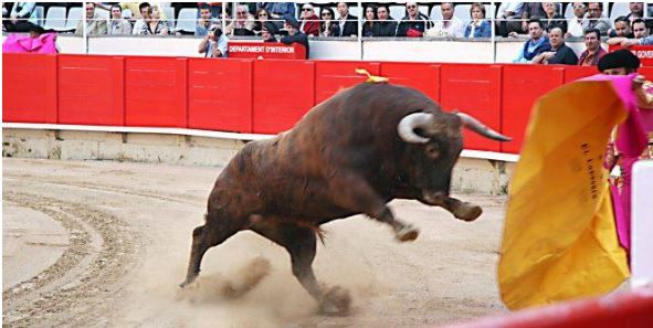 Se radicará el proyecto de ley para eliminar las corridas de toros.