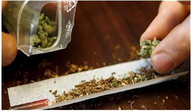 Control de cultivos de marihuana en el país.