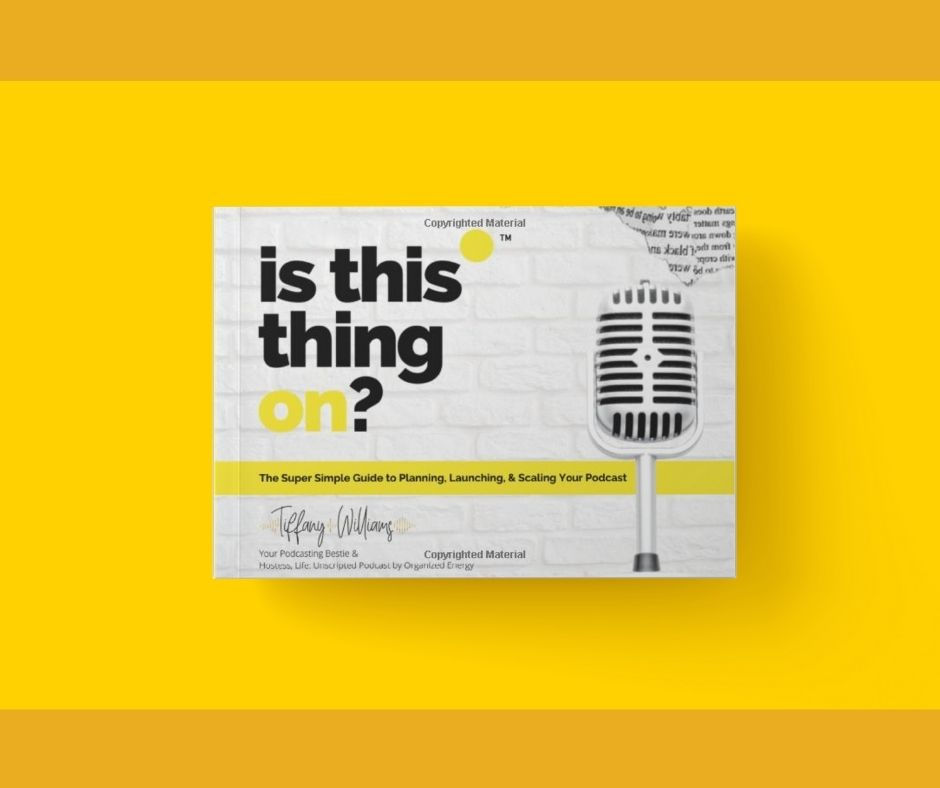 Thumbnail: Is This Thing On Book