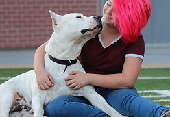 Dogo pink hair