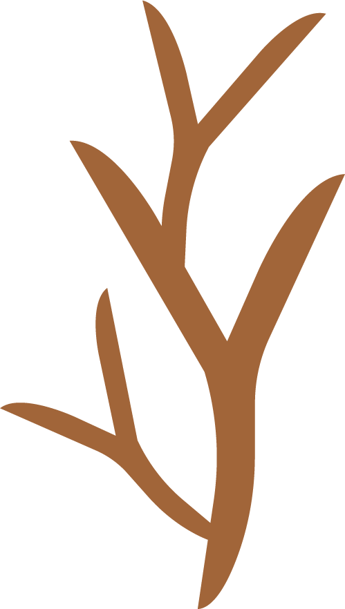 HI-logo-shaya-psychotherapy