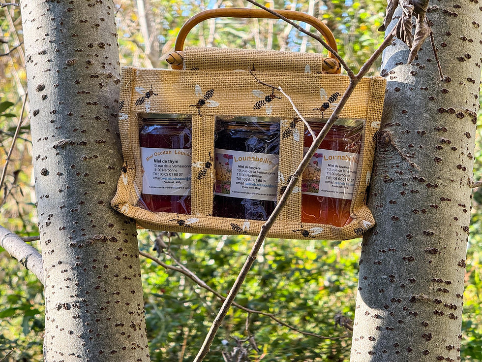 Miniature : Panier surprise 3 Miels