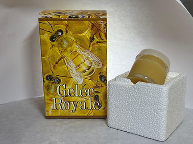 Gelée Royale