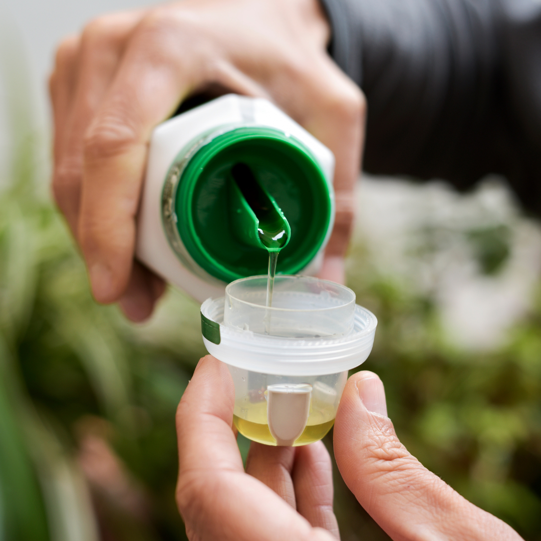 Liquid Fertilizer (1 Gallon)