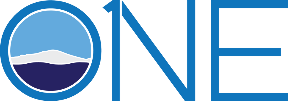 One Youth Logo.png