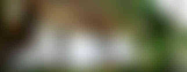 Club & Hotel Marine Beach By Tequendama El Enfoque Colombia Hoteles Cartagena cabañas