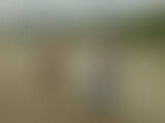 Un Amor Musical: cuando el territorio canta y el río cuenta la historia