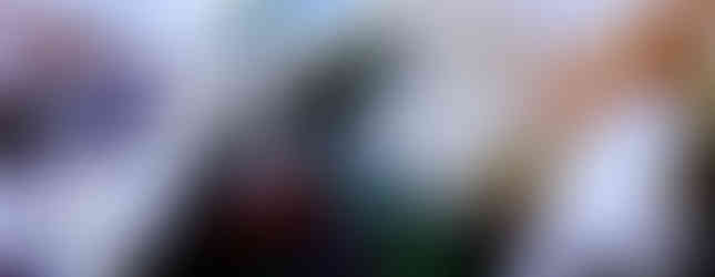 Hotel Cartagena Plaza El Enfoque Colombia turismo hoteles