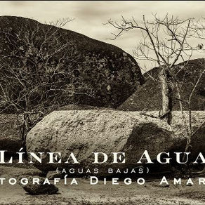 La exposición 'Línea de Agua' extiende su temporada