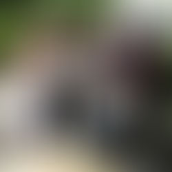 El Hotel Ibis Bogotá Museo protagonista de un encuentro emotivo con Juanse Laverde