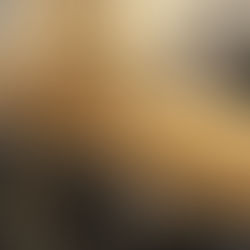 Desde Medellín, 902 Showroom llega a Bogotá con un espacio que mezcla diseño, experiencias y gastronomía