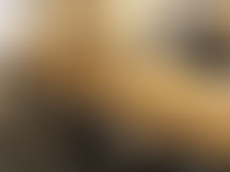 Desde Medellín, 902 Showroom llega a Bogotá con un espacio que mezcla diseño, experiencias y gastronomía