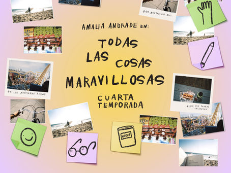 Vuelve la obra icónica de Amalia Andrade con “Todas Las Cosas Maravillosas”
