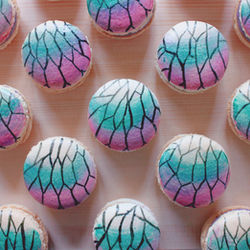 Every Flavor Macarons