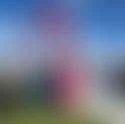 Cronin Miller staff at Pink Ribbon Cup Raceday