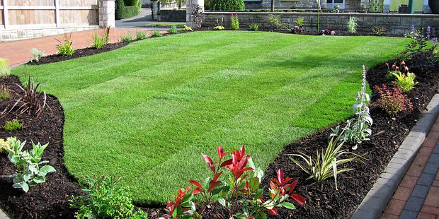lawn-1200x600.jpg