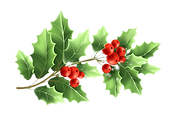 114_139_edited.png