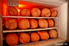 ■ヤップ島■
冷蔵庫で冷やして飲むココナッツジュースは最高