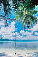 micronesia palau 000+4.webp
