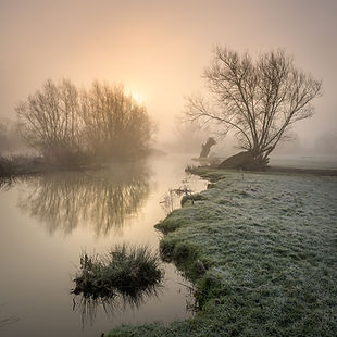 Golden winter morning.jpg