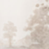 Navigation bar image 4.jpg