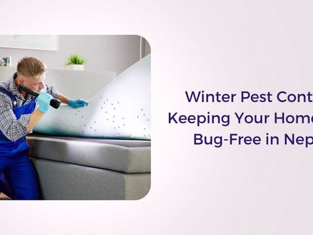 Winter Pest Control: Keeping Your Home Bed Bug-Free in Nepal