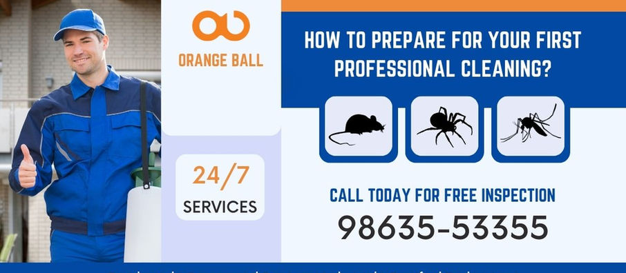 How to Prepare for Your First Professional Cleaning?