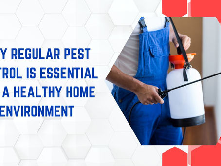 Why Regular Pest Control is Essential for a Healthy Home Environment