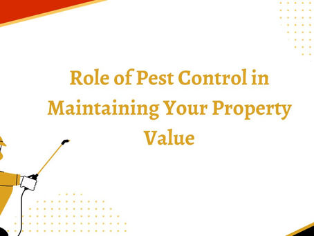Role of Pest Control in Maintaining Your Property Value