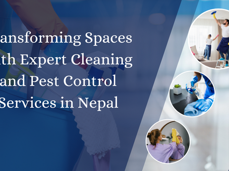 Transforming Spaces with Expert Cleaning and Pest Control Services in Nepal