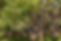 iStock-652879732.jpg