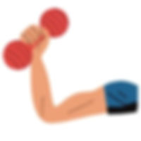 illustration of an arm with muscles lifting a dumbbell