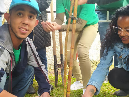 Alunos da APAE de Ilhabela participam de plantio de mudas em comemoração ao Setembro Verde
