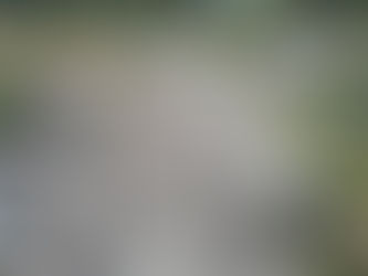 <strong>Mais de 500 pessoas participam do 8° Passeio Ecociclístico de Ilhabela</strong>