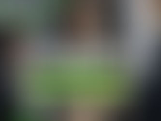 Prefeitura de Ilhabela e Sebrae abre vagas para o curso de “Fidelização de Clientes”