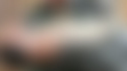 Polícia Ambiental prende homem após denúncia de maus-tratos a gato em Ilhabela