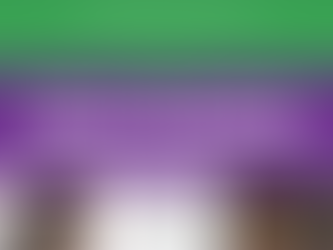 Prazo para recurso do programa “Bolsa de Estudo e auxílio transporte” encerra na próxima