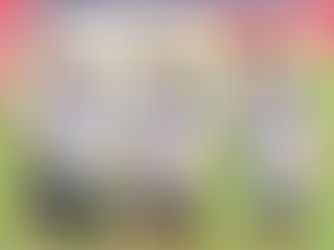 Série D: Luverdense encara Ceilândia em casa pela liderança e Mixto viaja para enfrentar o Capital