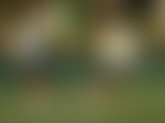 Foto: AssCom Dourado