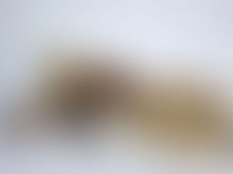 Projeto mato-grossense de artesanato ganha exposição exclusiva em teatro parisiense