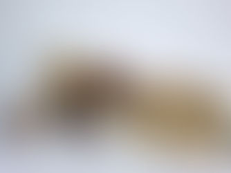 Projeto mato-grossense de artesanato ganha exposição exclusiva em teatro parisiense