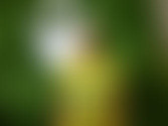 Foto: AssCom Dourado