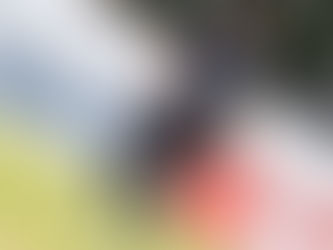 Jackson projeta calendário cheio em 2027 e revela planos para carreira após aposentadoria
