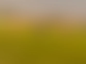 Sinop vence Operário Ltda e avança à semifinal da 2ª divisão do Mato-grossense