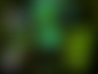 Evento de rock alternativo é realizado por bandas mato-grossenses no Beco do Papa